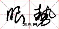 朱锡荣眼势草书怎么写