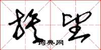 朱锡荣族望草书怎么写