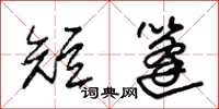 朱锡荣短篷草书怎么写