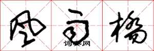 朱锡荣风雨桥草书怎么写