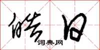 朱锡荣皓日草书怎么写