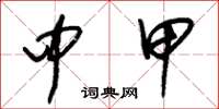 朱锡荣中甲草书怎么写