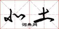 朱锡荣北土草书怎么写