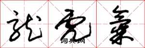 朱锡荣龙虎气草书怎么写