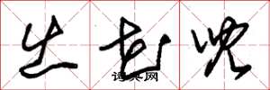 朱锡荣出花儿草书怎么写