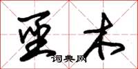 朱锡荣圣木草书怎么写