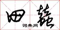 朱锡荣田蚕草书怎么写
