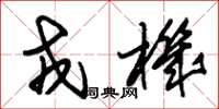 朱锡荣戎机草书怎么写