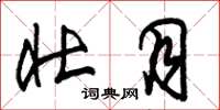 朱锡荣壮月草书怎么写