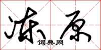 朱锡荣冻原草书怎么写