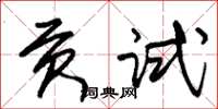 朱锡荣贡试草书怎么写