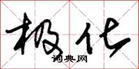 朱锡荣极化草书怎么写