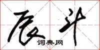 朱锡荣辰斗草书怎么写