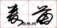 朱锡荣麦苗草书怎么写
