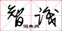 朱锡荣智识草书怎么写