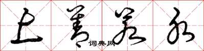 曾庆福上善若水草书怎么写
