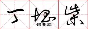 曾庆福丁块柴草书怎么写