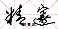 朱锡荣精邃草书怎么写