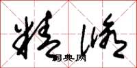 朱锡荣精修草书怎么写