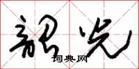 朱锡荣韶光草书怎么写