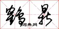 朱锡荣鹤鼎草书怎么写
