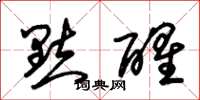 朱锡荣點醒草书怎么写
