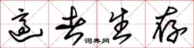 朱锡荣适者生存草书怎么写