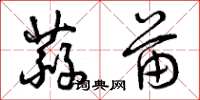 曾庆福蒜苗草书怎么写