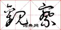 曾庆福观察草书怎么写