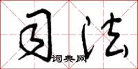 曾庆福司法草书怎么写