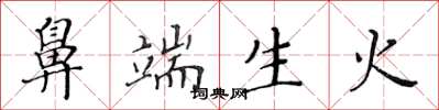 黄华生鼻端生火楷书怎么写