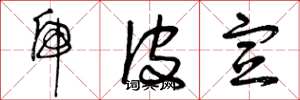 曾庆福虎皮宣草书怎么写