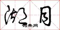 曾庆福湖目草书怎么写