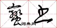 曾庆福蛮书草书怎么写