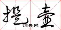 曾庆福提壶草书怎么写