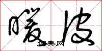 曾庆福暖皮草书怎么写
