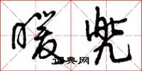 曾庆福暖兜草书怎么写