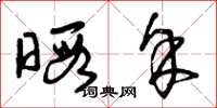 曾庆福暇余草书怎么写