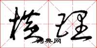 曾庆福横理草书怎么写