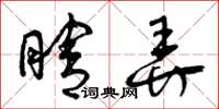 曾庆福瞎弄草书怎么写