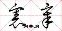 曾庆福宪章草书怎么写