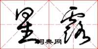 曾庆福星露草书怎么写