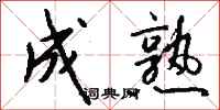 钱沛云成熟行书怎么写