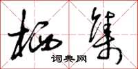 曾庆福栖集草书怎么写