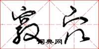 曾庆福窍穴草书怎么写