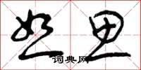 曾庆福恕思草书怎么写