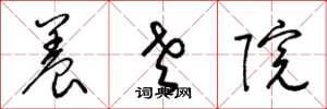 梁锦英养老院草书怎么写