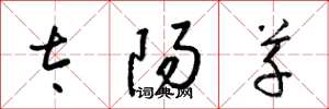 梁锦英太阳草草书怎么写