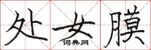 骆恒光处女膜楷书怎么写