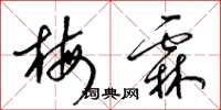 梁锦英梅霖草书怎么写